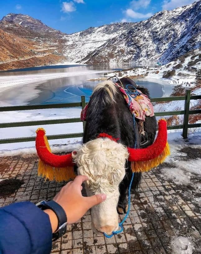 Sikkim Highlights: From Gangtok to Yuksom