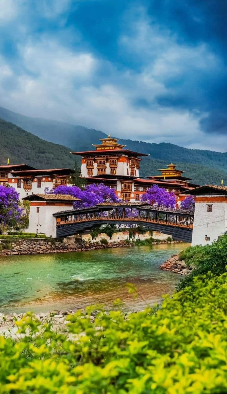 8 Days Bhutan Trip | Phobjikha Valley Edition